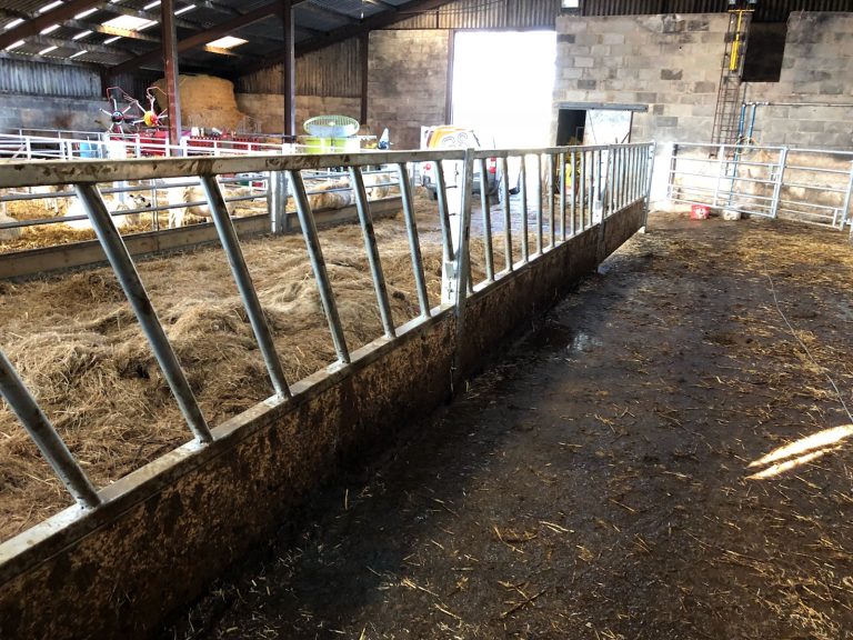 Made to Order Dual Purpose Cattle/Sheep Feed Barriers as Gate - Gst ...